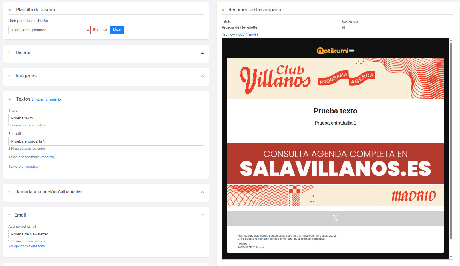 Editor de newsletters con vista previa